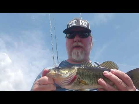 BASS FISHING GRASSHOPPER LAKE