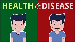 Human Health & Disease | Biology | Science | Letstute