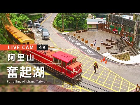 Taiwan Alishan (Ali Mountain) Fenqihu 4K Live Camera