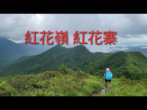 6月29號星期六：萊洞 禾徑山路 紅花嶺 紅花寨 亞公頂 山咀村路