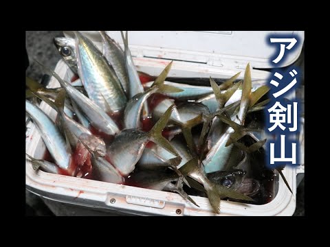 新鮮な釣りアジを肴に美味い日本酒が飲みたくて・・・