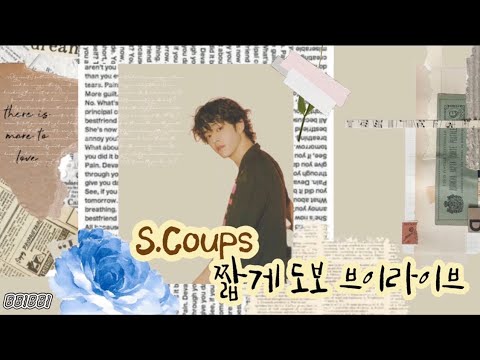 [세븐틴/에스쿱스] 승철이의 도보 브이라이브 | 후딱 지나감 주의 🚶‍♂️🏃