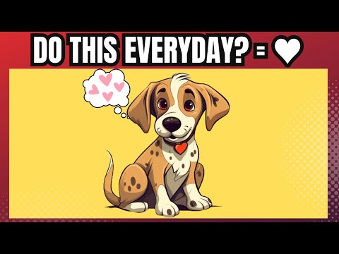 9 Things Dogs Do to Show They Love You The Most | Step By Step How They Show Their Love