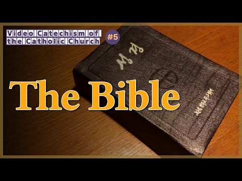 The Bible｜Video Catechism of the Catholic Church Part.5