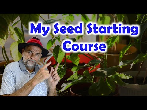 New Seed Starting Course - Starts Jan 7, 2025