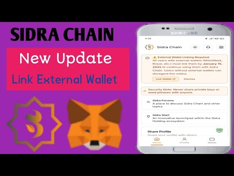 Sidra chain New Update | Connect Metamask Wallet | Problem Fix Lose All Tokens🌟