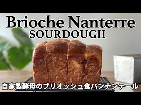 【自家製酵母】食パン⑤ブリオッシュナンテール、たっぷりのバターをいれこむコツ、Brioche　Nanterre