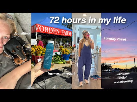 72 hours in my life VLOG - farmers market, volunteering, dog sitting, sunday reset, + more