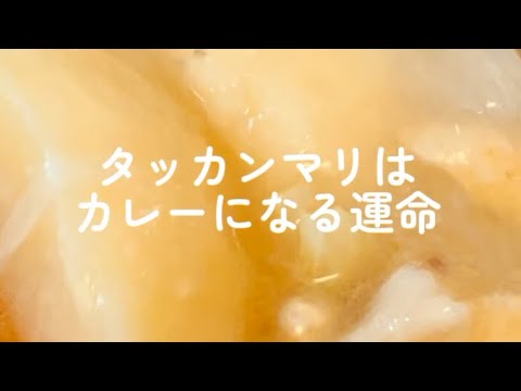 隠れた新大久保の人気No.1 タッカンマリをカレーにしちゃう二日目