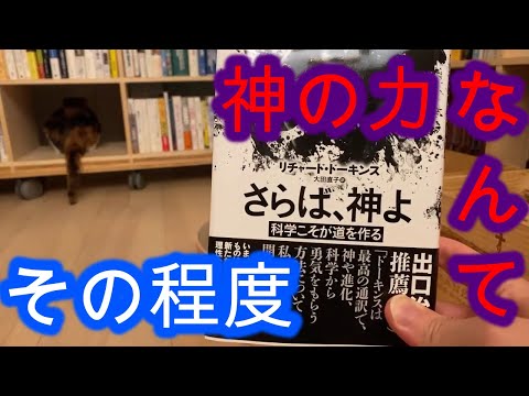 【その他】厄年・大厄は嘘？ / 髪を凌駕する力【メンタリストDaiGo切り抜き】