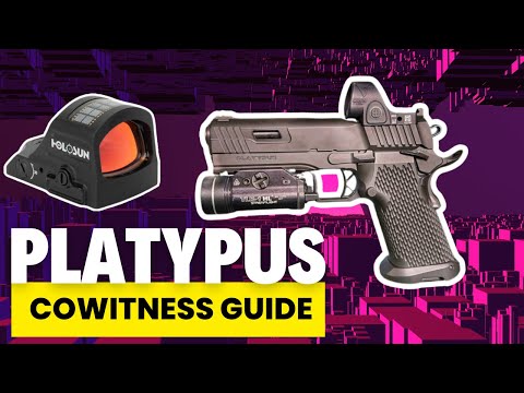 Stealth Arms 1911 Platypus Holosun RMR Red Dot Fitment Guide