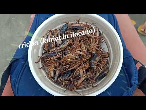 #crickets(kuriat in ilocano)#exotic foods#buhayprobinsiya#short