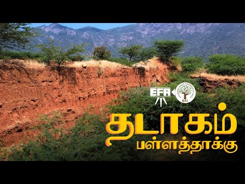 Thadagam Valley | தடாகம் பள்ளத்தாக்கு | EFI x EFA