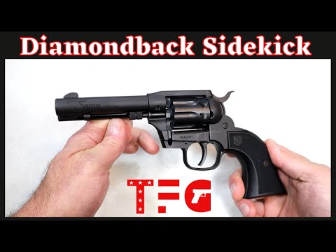 Diamondback Sidekick .22LR/.22 WMR "Budget Series" - TheFirearmGuy