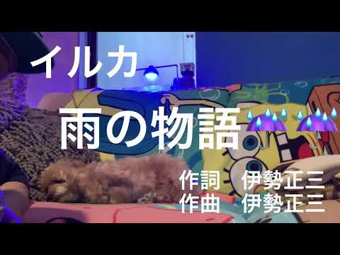 イルカ　雨の物語☔️作詞作曲　伊勢正三