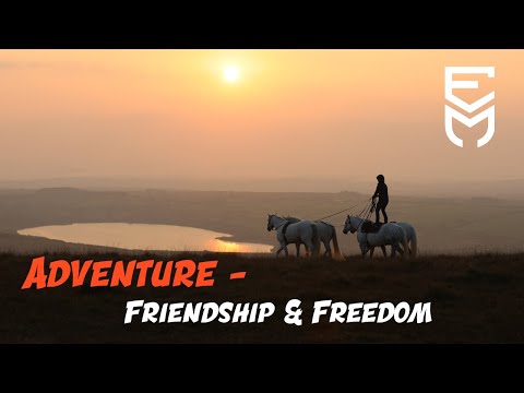 Adventure - Friendship & Freedom