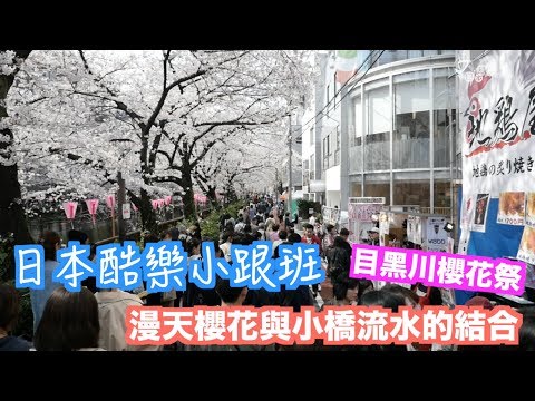 【日本酷樂小跟班】漫天櫻花與小橋流水的結合　中目黑不只賞櫻也可以吃櫻花