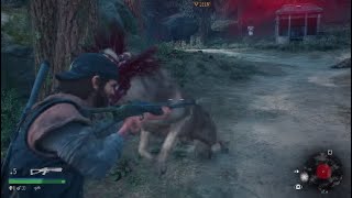 【DAYS GONE】ポンコツバイカーの初見実況4 GONE流はじめてのおつかいでじゅうげきせん