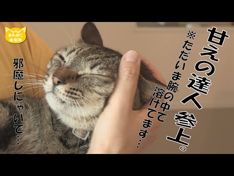 至福のひと時を楽しんでいます　きなこちゃん