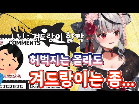 허벅지 햝짝은 괜찮은거냐...? [ 홀로라이브/사카마타 클로에 ]