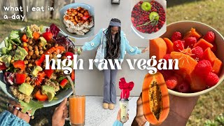 HIGH RAW VEGAN🍒 what i eat in a day | nutritious & easy recipes