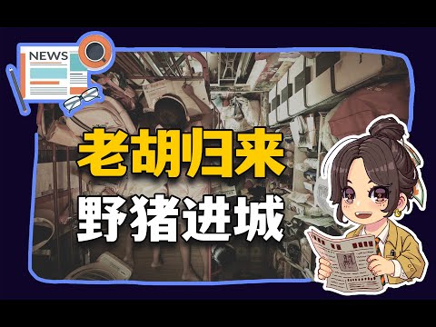 【参考信息第370期】老胡归来话大厂；香港告别劏房