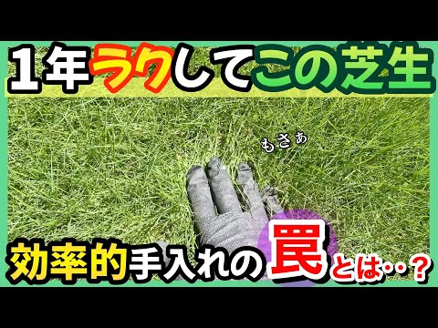 【誰でもできる】賢く効率的な芝生の手入れ。その大切な考え方について！