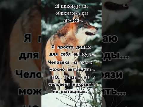 Правда жизни #цытаты #правда #слово #силажизни #мысливслух #люди