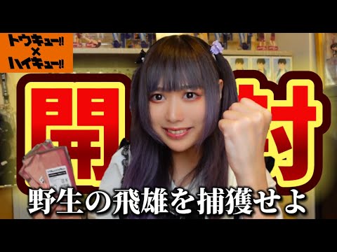 【開封】ランダムグッズ開封で自引き運を試すオタク【ハイキュー!!】