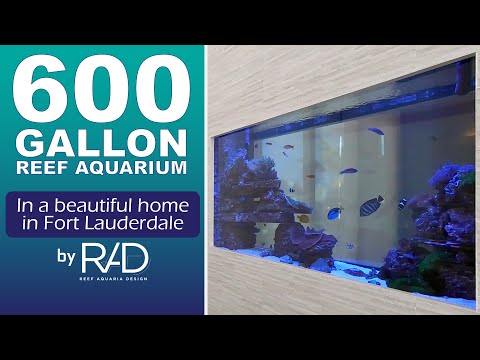 600-GALLON REEF AQUARIUM IN THIS BEAUTIFUL FORT LAUDERDALE HOME. AN AQUARIUM BY REEF AQUARIA DESIGN.