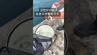 【泳がせ釣り(ノマセ釣り)】エレベーター仕かけの手順。ヒラメやコチ、スズキなどが狙えます☺️#Fishing#釣り#釣り部#釣り好き