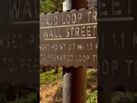 Wildlife on the Navajo Loop and Queens Garden Loop Trail. Bryce Canyon National Park Utah #Shorts