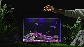 PONDON 5 Gallon Fish Tank New Arrival | pondon.net