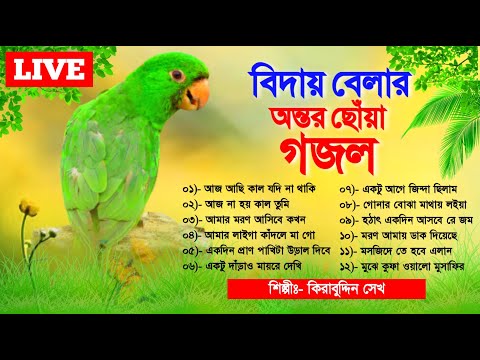 🔴 Gojol Live | ঘুমানোর আগে বিদায় বেলার গজল গুলি শুনুন জীবন বদলে যাবে | Very Emotional Live Gojol