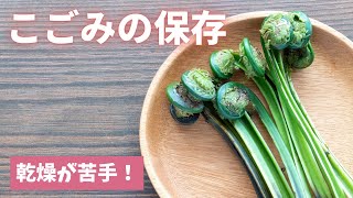 【こごみの保存】春の味覚をおいしく長持ち/山菜の保存