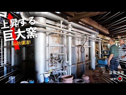 [Yamaaki Revival] The huge pottery factory was amazing. [Bonsai World x Bonsai Q]