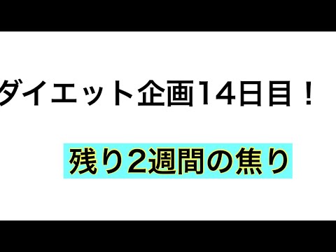 【ダイエット】ダイエット企画14日目！#14