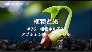 植物と光　＃76　植物ホルモン　アブシシン酸・ジベレリン