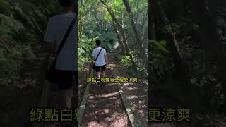 【碧溪步道】台北小溪頭步道