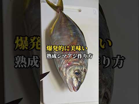 爆発的に美味い熟成シマアジの作り方 #熟成 #魚の捌き方