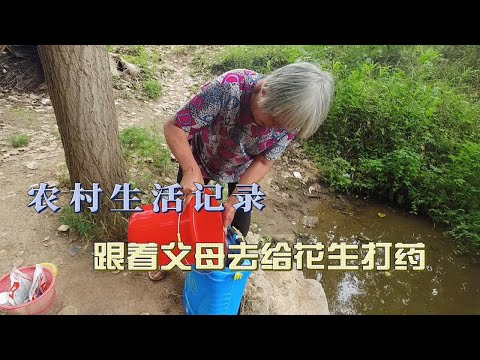 看看我们农村的生活，跟着父母去地里除草打药，花生还要控制生长