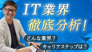 IT業界を徹底解説！業界構造・職種・キャリアステップなどを紹介！【転職】