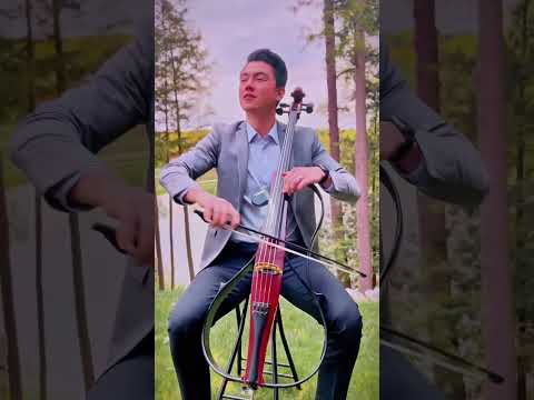 I’ll take this over Bridgerton any day… Cellist performs Beautiful Things at wedding 😨