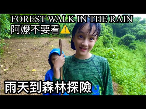 FOREST WALK IN THE RAIN 下大雨竟然帶小孩去山上散步😱阿嬤不要看這集