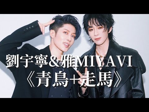 【純享版】劉宇寧&雅MIYAVI《青鳥+走馬》 時隔多年又唱了讓他在街頭爆火的歌 #音樂安利站