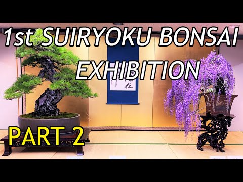 1st Suiryoku Bonsai Exhibition・第1回翠緑盆栽展 2022 - PART 2