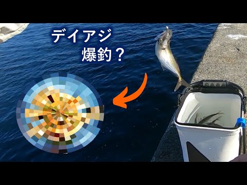 デイアジングで釣ったアジの南蛮漬けを肴に美味い日本酒が飲みたくて・・・