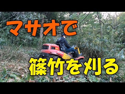 【Hey MASAO】マサオで篠竹刈り