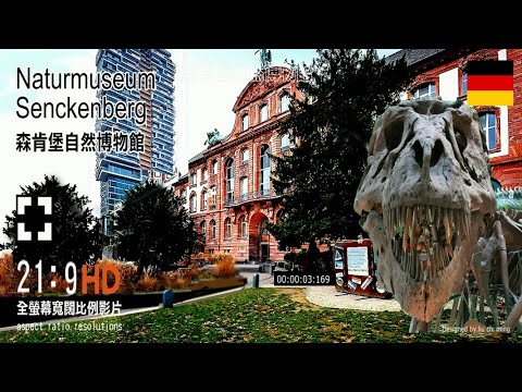 德國法蘭克福的森肯堡自然博物館 Naturmuseum Senckenberg