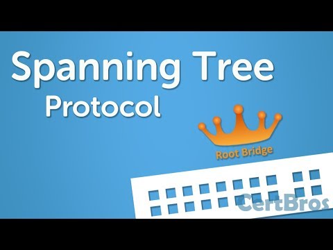 Spanning Tree Protocol Explained | Step by Step